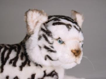 "Samsara" White Siberian Tiger