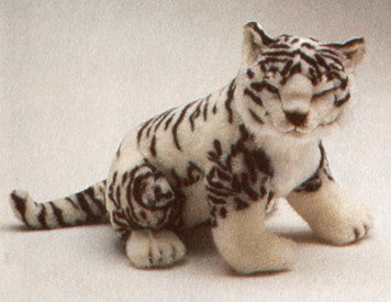 "Kirana" White Siberian Tiger