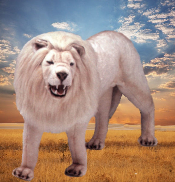 "Kimba" White Lion