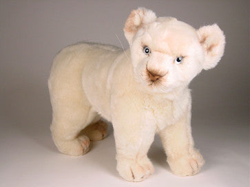 "Chloe" White Lion Cub