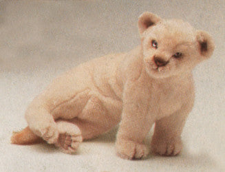 "Haggi" White Lion Cub