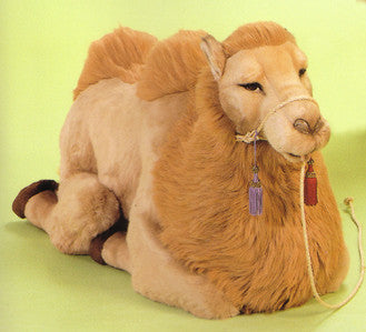"Ozzie" Camel