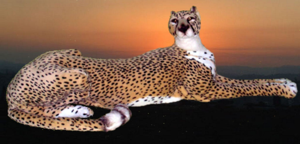 "Granger" Cheetah