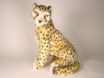 "Chester" Cheetah