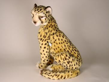 "Chester" Cheetah