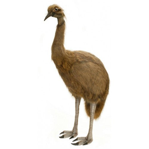 "Aroo" Emu Baby