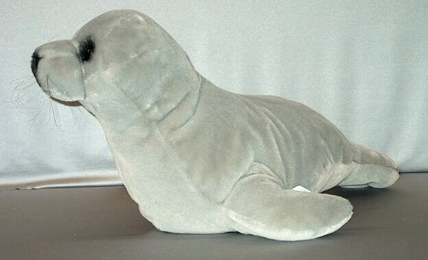 "Hoover" Monk Seal