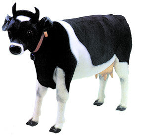 "Taurus" Cow