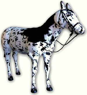 "Diabolo" Appaloosa Horse
