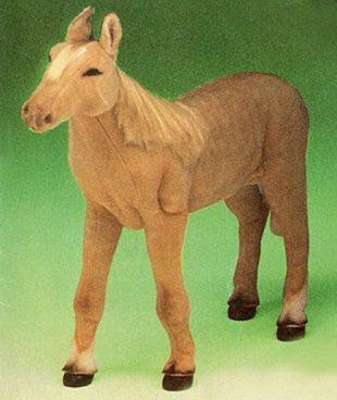 "Calypso" Ivory Horse Colt