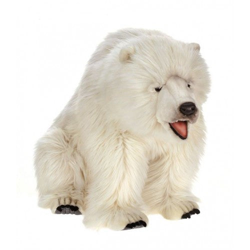 "Debby" Polar Bear