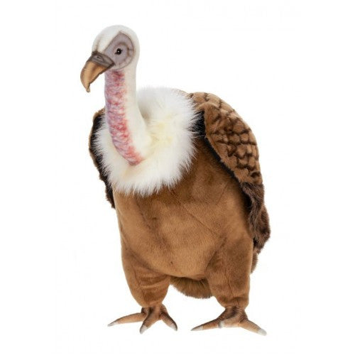 "Ramat" Vulture