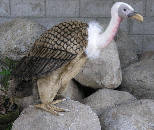 "Ramat" Vulture