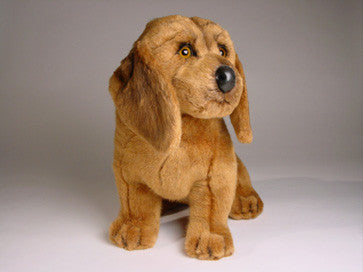 "Copper" Bloodhound