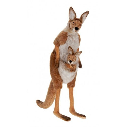 "Sydney" Kangaroo and Joey