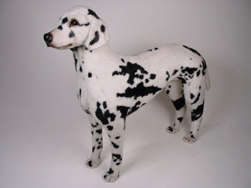 "Clydesdale" Dalmatian