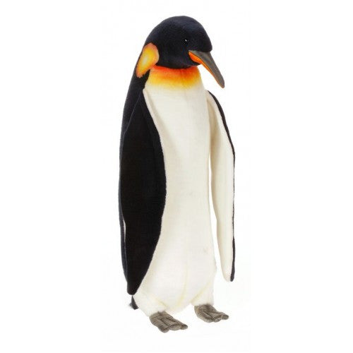 "Chilly" Emperor Penguin