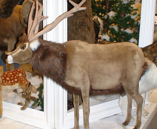 "Rafferty" Reindeer (right)