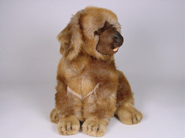 "Teddy" Leonberger Dog