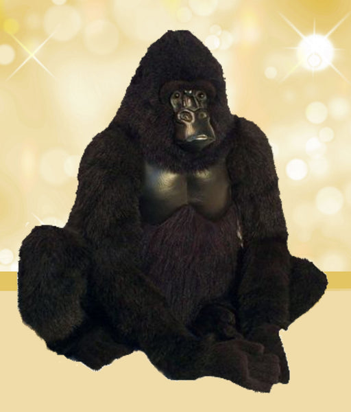 "Koko" Gorilla