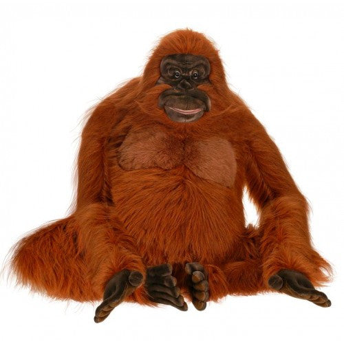 "King Louie" Orangutan