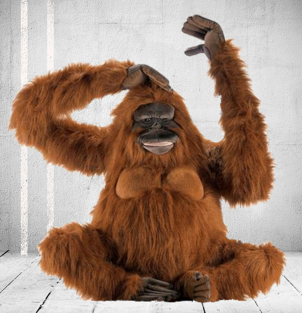"King Louie" Orangutan
