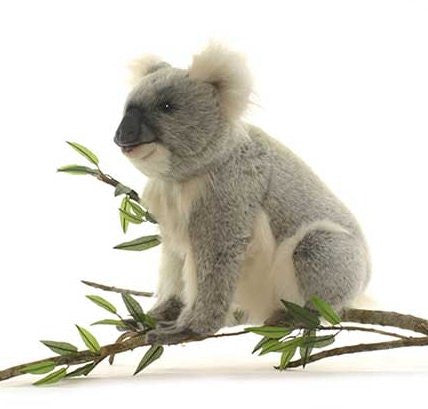 "Boomer" Koala Bear