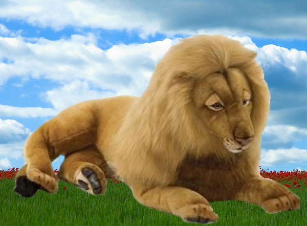 "Clarence" Lion