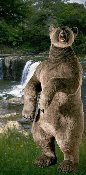 "Humphrey" Grizzly Bear