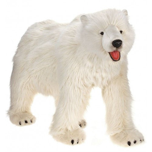 "Flocke" Polar Bear