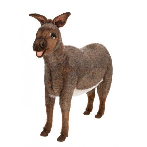 "Ruth" Donkey