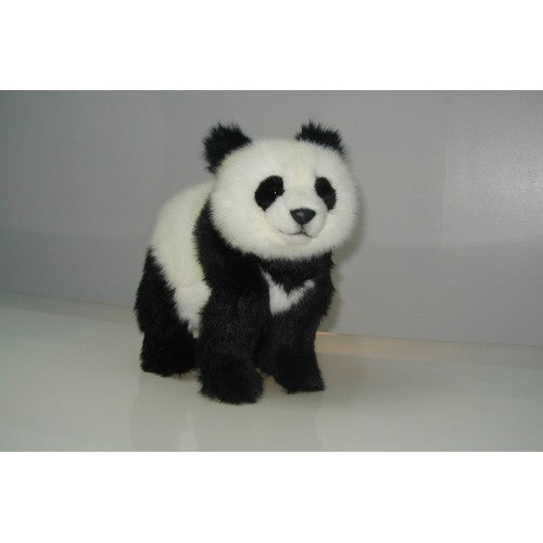 "Benjamin" Panda Bear Cub