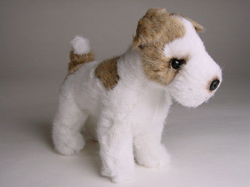 "Skippy" Wire Fox Terrier