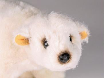 "Buster" Polar Bear
