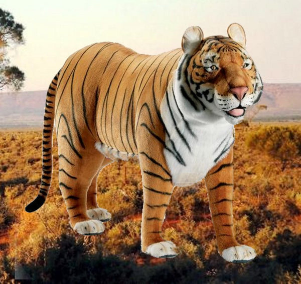 "Kalen" Tiger