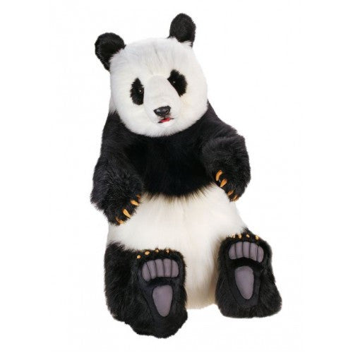 "Chi Chi" Panda Bear