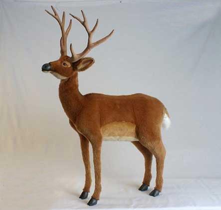 "Roebuck" White Tail Deer