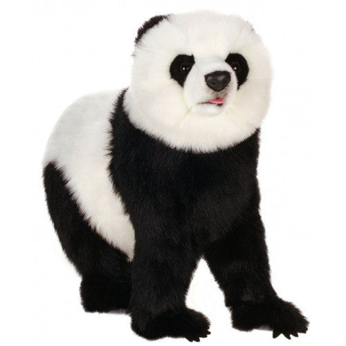 "Ming" Panda Bear