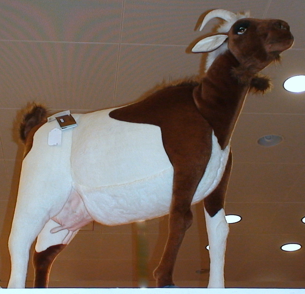 Dan Goat Big Furry Friends