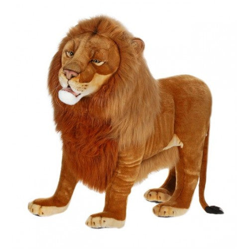 "Lennard" Lion