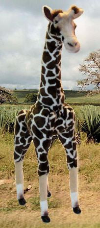 "Gemina" Giraffe