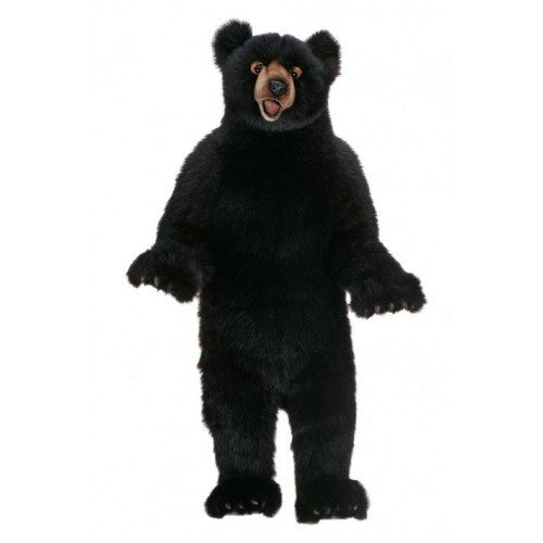 "Fritz" Black Bear