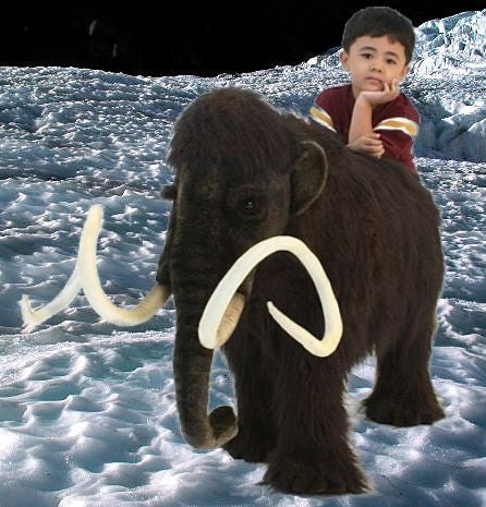 "Maury" Mammoth