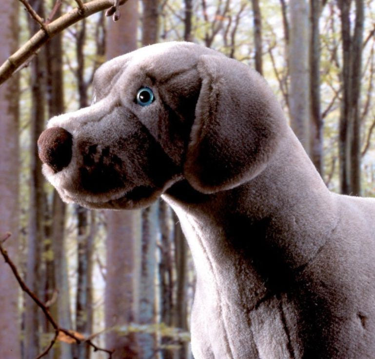 Weimaraner sales stuffed animal