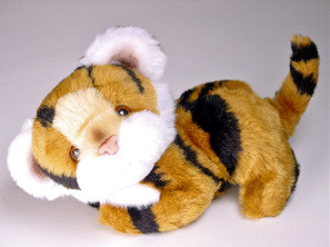 "Heathcliff" Bengal Tiger