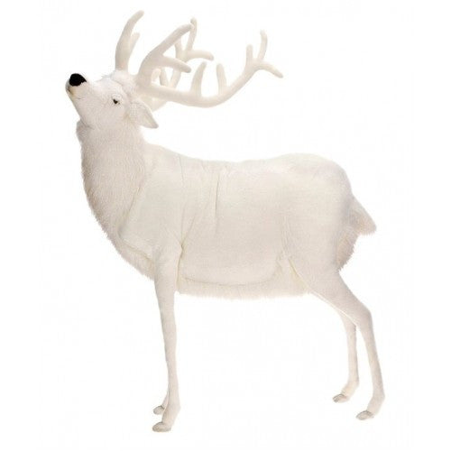 "Argonne" White Reindeer