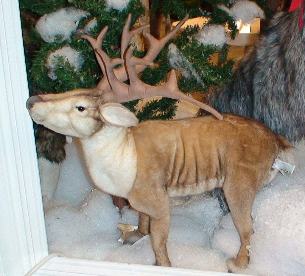 "Carob" Nordic Deer