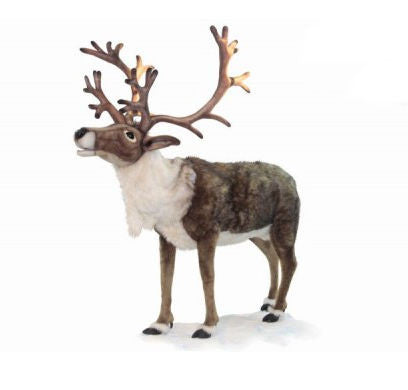 "Darby" Nordic Reindeer