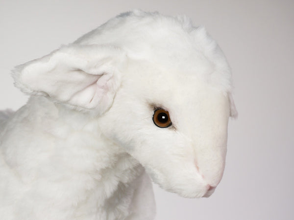 "Millie" Lamb