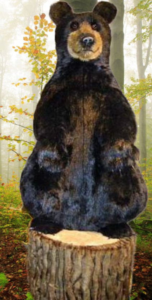 "Cubbie" Black Bear on Stump